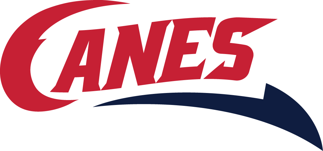 Lethbridge Hurricanes 2013 14-Pres Secondary Logo vinyl decal